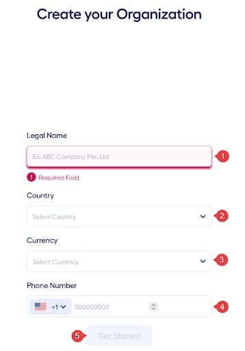 The company detail fields on Multiplier